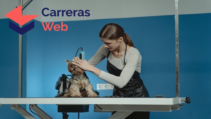 Curso de Peluquería Canina